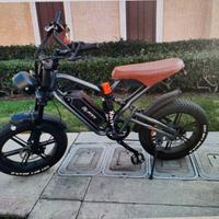 Bici elettrica Fat
