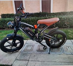 Bici elettrica Fat