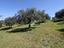 Immagine 27