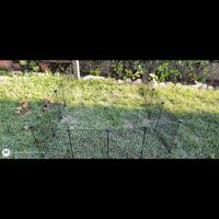 Rete animali a Manerbio 