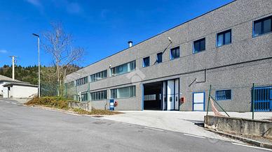 CAPANNONE A TREVISO BRESCIANO