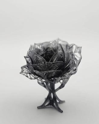 Rosa cenere eterna 🖤 Design unico