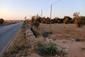 Terreno a Manduria(TA)