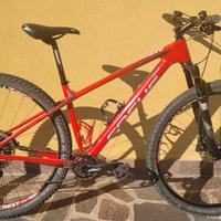 Mtb focus raven in carbonio