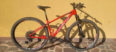 Mtb focus raven in carbonio