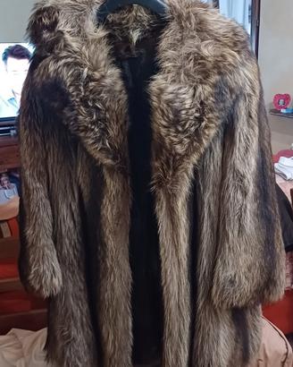 pelliccia marmotta