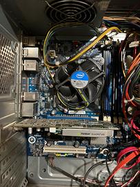 Scheda video  NVIDIA QUADRO 600