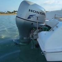 Saver Manta cabin fish 21