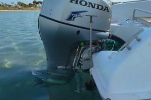 Saver Manta cabin fish 21