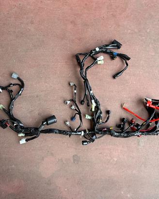 Cablaggio Yamaha R6 17-24