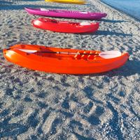 2 canoe doppie,2 canoe singole,1 pedalò 