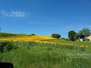 Terreno con rustico