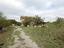 Immagine 25