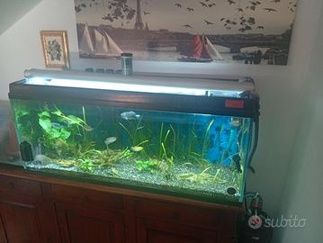 acquario 120 litri