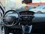 Immagine 12