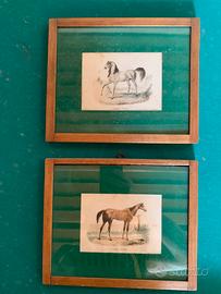 Coppia litografie italiane XIX sec. Figure cavalli