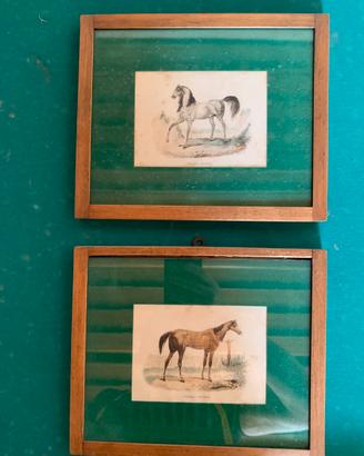Coppia litografie italiane XIX sec. Figure cavalli