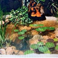 laghetto con cascatelle