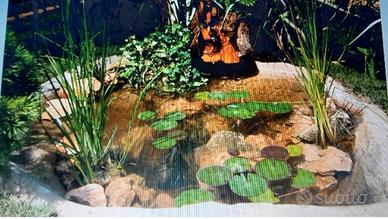 laghetto con cascatelle