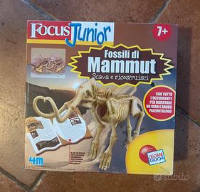 Focus Junior Fossili di Mammut - NUOVO SIGILLATO