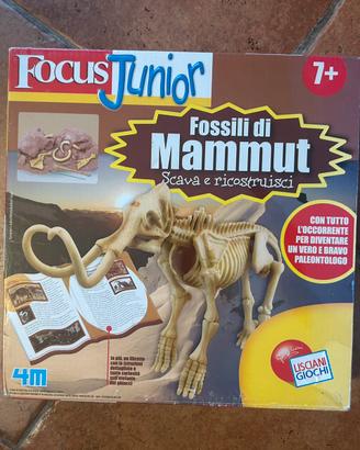 Focus Junior Fossili di Mammut - NUOVO SIGILLATO