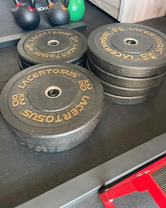 Set bumper plates Lacertosus 100 kg