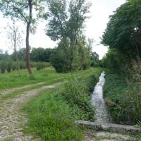 TERRENI AGRICOLI PER OLTRE 8.000 MQ: investimen...