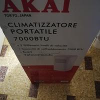 Condizionatore portatile