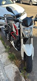 Benelli bn 251