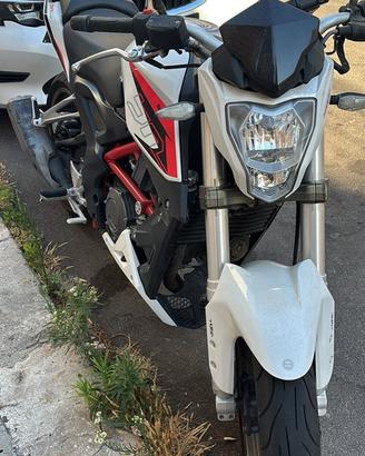 Benelli bn 251