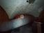 Immagine 10