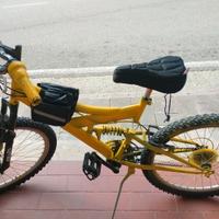 BICI 24 POLLICI 