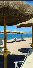 Ombrelloni Esotici St Bali con erba intrecciata