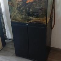 aquario juwel