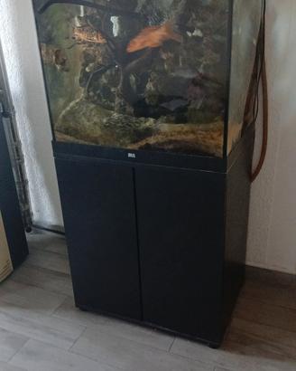 aquario juwel