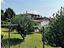 Immagine 9