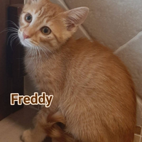 MICI ADORABILE 3 Mesi