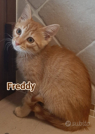 MICI ADORABILE 3 Mesi