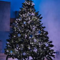 Albero di natale - Tipo Himalaya 210 cm