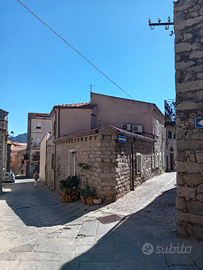 Centro Storico con cortile e cantina