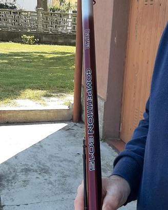 Canna Daiwa Competition cp 8015 80 leggi