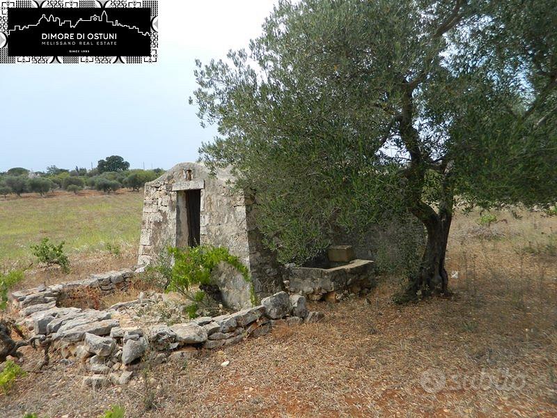 LAMIA in VALLE D'ITRIA CON TERRENO 4000mq - Vista 4