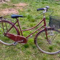 Bicicletta taglia26