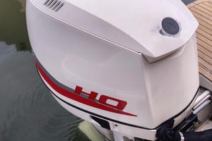 Evinrude 250 ho E - TEC