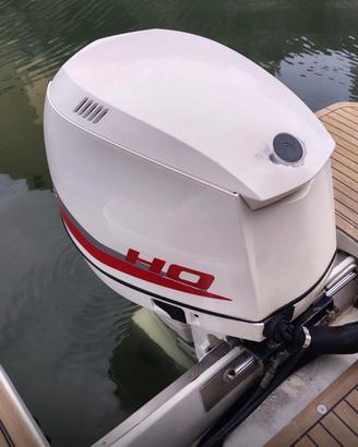 Evinrude 250 ho E - TEC