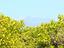 Immagine 18