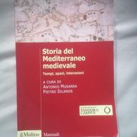 Storia del mediterraneo medievale 