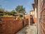 Immagine 16