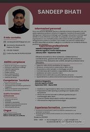 Magazziniere / Addetto alla logistica con esperien