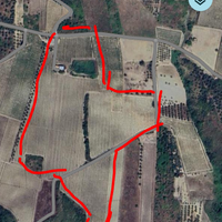 Vendita azienda vitivinicola